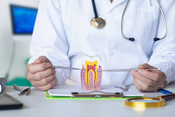 Best Emergency TMJ Treatment in Dunn, NC
